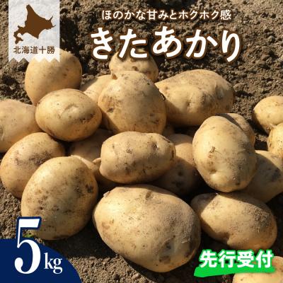 ふるさと納税 芽室町 [先行受付][2026年9月下旬より配送予定]北海道十勝芽室町 きたあかり5kg