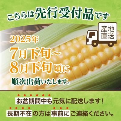 ふるさと納税 芽室町 【2025年先行受付】北海道芽室町 ふるさと納税 芽室町 【2025年先行受付】北海道芽室町