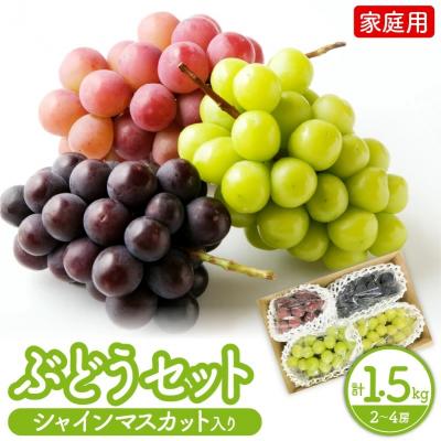 ふるさと納税 上山市 訳あり(ご家庭用) シャインマスカット入り詰め合わせぶどう 1.5kg 0065-2604 | 
