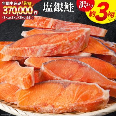 ふるさと納税 気仙沼市 訳あり 鮭 切身 約3kg [宮城東洋 宮城県 気仙沼市 20564992] サーモン