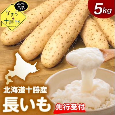 ふるさと納税 芽室町 [12月中旬以降発送]北海道十勝芽室町 長いも 5kg me001-010c