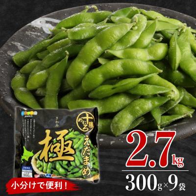 ふるさと納税 芽室町 北海道芽室町 えだまめ「極」300g×9袋 me003-002c
