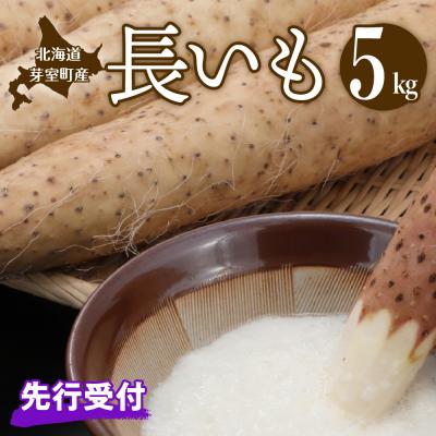 ふるさと納税 芽室町 [先行受付][2026年11月より配送予定]北海道十勝芽室町 長いも 約5kg me002-015c
