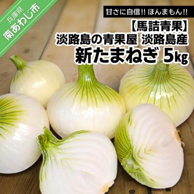 ふるさと納税 南あわじ市 [馬詰青果][淡路島の青果屋]淡路島産新たまねぎ 5kg 甘さに自信!!ほんまもん!!