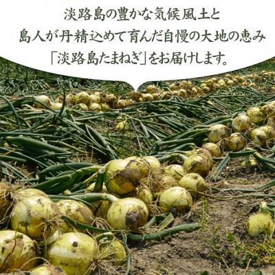 ふるさと納税 南あわじ市 【淡路島の青果屋】淡路島産新たまねぎ 5kgの画像