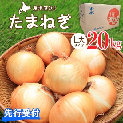 ふるさと納税 芽室町 [2026年産先行受付][10月上旬より発送]北海道十勝めむろ産 たまねぎ L大サイズ 20kg