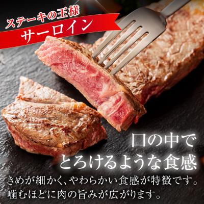 ふるさと納税 大府市 A5ランク 黒毛和牛 下村牛 極上サーロインステーキ 4枚入り約800g 牛肉 冷凍 |  | 03