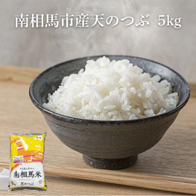 ふるさと納税 南相馬市 白米 5kg 天のつぶ 令和7年産 | 精米 米5kg コメ お米 米 大粒 ふくしま未来農協 JA