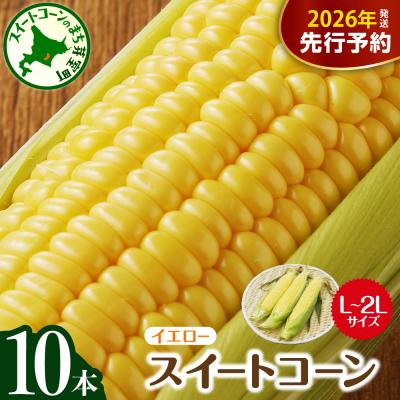ふるさと納税 芽室町 [先行受付]北海道芽室町 スイートコーン10本イエロー me002-004c-26