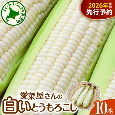 ふるさと納税 芽室町 [先行受付]北海道十勝芽室町 とうもろこし 10本 ホワイト me002-005c-26
