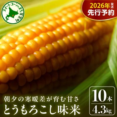 ふるさと納税 芽室町 [2026年分先行受付]北海道十勝 芽室町産 朝獲れ とうもろこし 味来10本