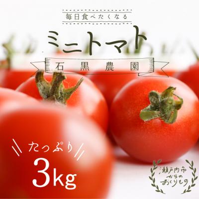 ふるさと納税 瀬戸内市 毎日食べたい石黒さんちの ミニトマト 3kg 岡山県瀬戸内市産 石黒農園