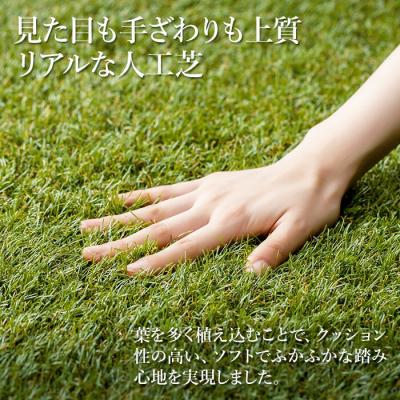 ふるさと納税 南相馬市 防草人工芝 防草シート 2m×5m アイリスオーヤマ bu001-af |  | 01