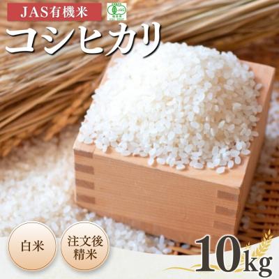 ふるさと納税 南相馬市 [先行予約]JAS有機米 コシヒカリ 白米 10kg 令和7年産 [53870-001-03]