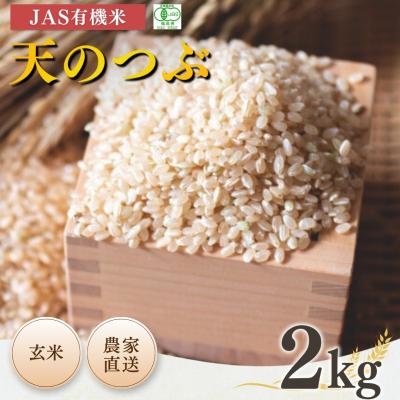 ふるさと納税 南相馬市 [先行予約]JAS有機米 天のつぶ 玄米 2kg 令和7年産[53870-002-10]