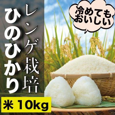 ふるさと納税 瀬戸内市 瀬戸内市のおいしい お米 「ひのひかり」10kg(5kg×2袋)石黒農園