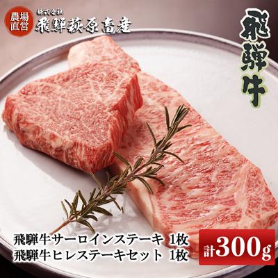 ふるさと納税 下呂市 [冷凍]飛騨牛ステーキセット (サーロイン 200g×1枚・ヒレ 100g×1枚)[22-21]