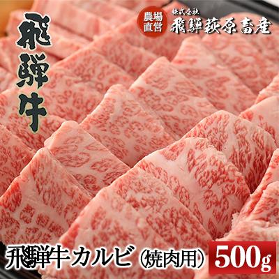 ふるさと納税 下呂市 [冷凍]飛騨牛カルビ焼肉用(500g)牛肉 焼き肉 [22-24]