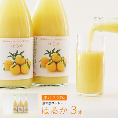 ふるさと納税 愛南町 無添加 はるか ジュース 720ml 3本 果汁 100% 柑橘 果物 国産 みかん職人武田屋
