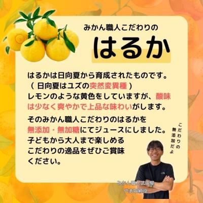 ふるさと納税 愛南町 無添加 はるか ジュース 720ml 3本 果汁 100% 柑橘 果物 国産 みかん職人武田屋 |  | 01