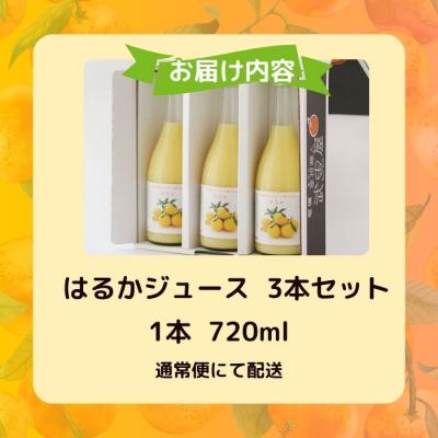 ふるさと納税 愛南町 無添加 はるか ジュース 720ml 3本 果汁 100% 柑橘 果物 国産 みかん職人武田屋 |  | 02