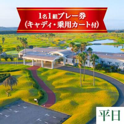 ふるさと納税 笠岡市 「平日」JFE瀬戸内海ゴルフ倶楽部プレー券(キャディ・乗用カート付) 3-14b