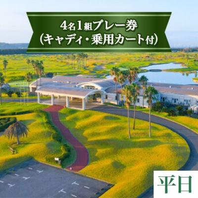 ふるさと納税 笠岡市 「平日」JFE瀬戸内海ゴルフ倶楽部4名1組プレー券(キャディ・乗用カート付) 12-01b