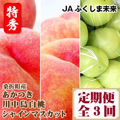 ふるさと納税 桑折町 [令和8年7月〜9月頃発送]桑折町もも2品種・シャインマスカット定期便