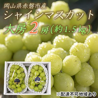 ふるさと納税 赤磐市 シャインマスカット 大房 2房 約1.5kg 秀品 赤磐市産 2026年 [NO5765-0893]