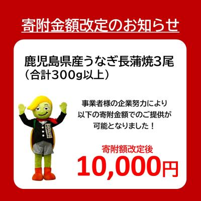ふるさと納税 大崎町 【数量限定】鹿児島県産うなぎ長蒲焼3尾　 (合計300g以上) |  | 03