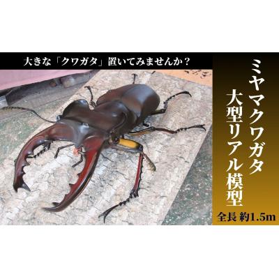 ふるさと納税 三宅町 ミヤマクワガタ大型リアル模型(透明ケース付)