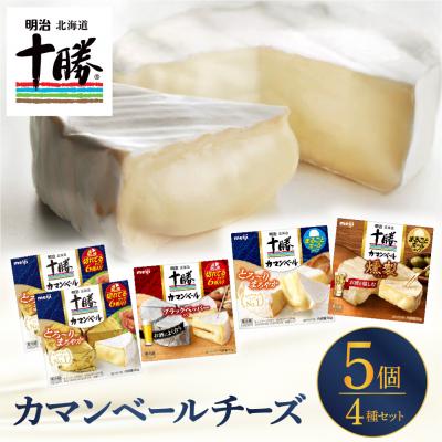 ふるさと納税 芽室町 明治北海道十勝チーズ カマンベール4種5個セット me003-068c