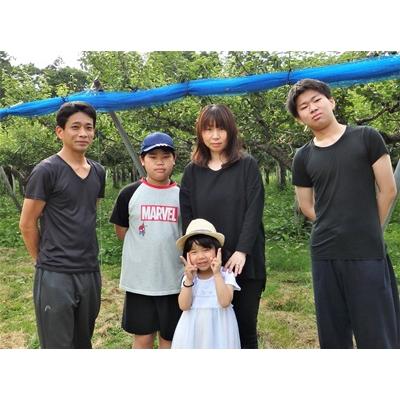 ふるさと納税 上山市 西洋梨(ラ・フランス)3kg　ご家庭用　0137-2601_3