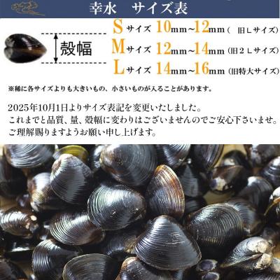 ふるさと納税 出雲市 宍道湖産冷凍しじみLサイズ(殻幅14mm〜16mm)200g×10袋 |  | 01