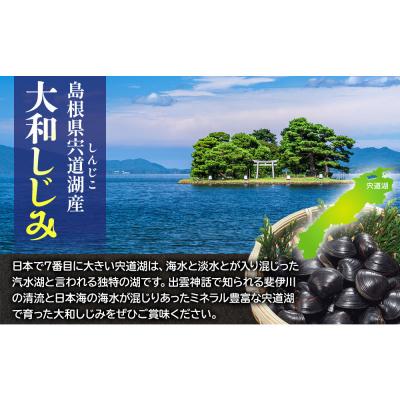 ふるさと納税 出雲市 宍道湖産冷凍しじみLサイズ(殻幅14mm〜16mm)200g×10袋 |  | 02