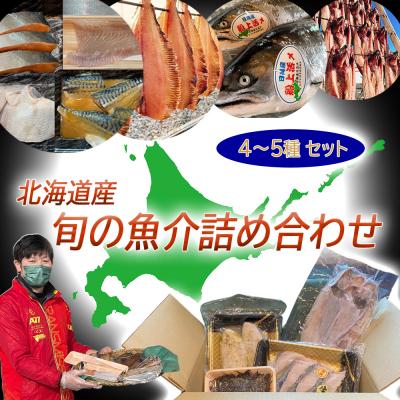 ふるさと納税 新ひだか町 北海道産 旬の魚介 4〜5種 お楽しみ詰め合わせ セット | 