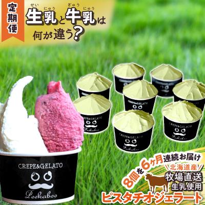 ふるさと納税 新ひだか町 &lt;6ヶ月定期便&gt;北海道産 生乳 ジェラート アイス ピスタチオ 毎月8個 ジェラートセット