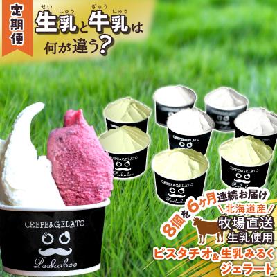 ふるさと納税 新ひだか町 &lt;6ヶ月定期便&gt;北海道産 生乳 ジェラート 毎月8個 ピスタチオ&amp;生乳ミルク 各4個 詰め合わせ
