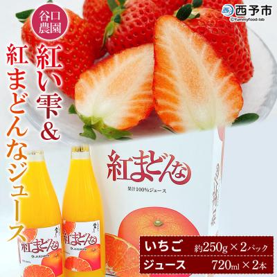 ふるさと納税 西予市 西予市宇和町産 谷口農園のいちご(紅い雫)2パックと紅マドンナジュースのセット