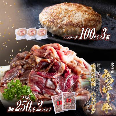 ふるさと納税 新ひだか町 北海道産 黒毛和牛 みついし牛 味付け焼肉500g&amp;みついし牛とホエー豚のハンバーグ3個 計800g
