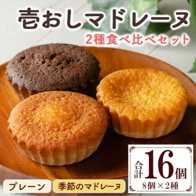 ふるさと納税 いちき串木野市 壱おしマドレーヌ プレーン と 季節の マドレーヌ の 2種類 計16個 食べ比べ 個包装