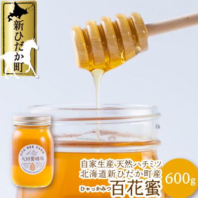 ふるさと納税 新ひだか町 北海道産天然はちみつ 百花蜜600g
