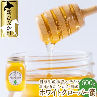 ふるさと納税 新ひだか町 北海道産天然はちみつ ホワイトクローバー蜜600g