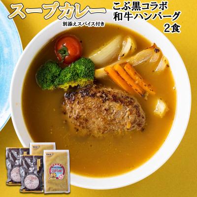 ふるさと納税 新ひだか町 北海道産 黒毛和牛 こぶ黒 スープカレー コラボ和牛ハンバーグ 2食