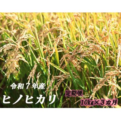 ふるさと納税 奈半利町 ヒノヒカリ定期便 10kg×3か月連続発送 120901
