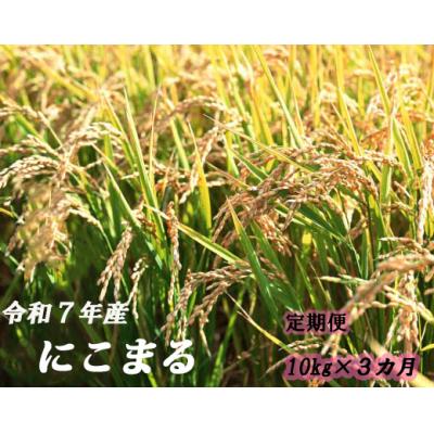 ふるさと納税 奈半利町 にこまる定期便 10kg×3か月連続発送 120904