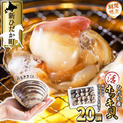 ふるさと納税 新ひだか町 &lt;11月中旬より順次発送&gt;北海道産活ホッキ貝 20個&lt;先行受付&gt;