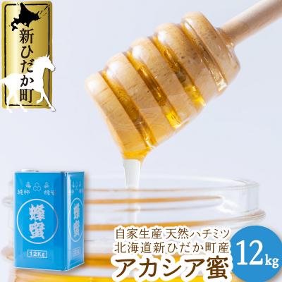 ふるさと納税 新ひだか町 北海道産天然はちみつ アカシア蜜12kg