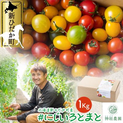 ふるさと納税 新ひだか町 <2026年8月上旬より発送> 北海道産カラフル ミニトマト1kg #にじいろとまと <先行受付>