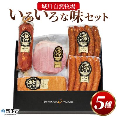ふるさと納税 西予市 新 いろいろな味セット